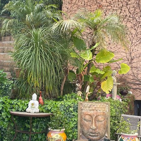 Logement Zen Sur La Colline Aux Mimosas 耶尔 外观 照片