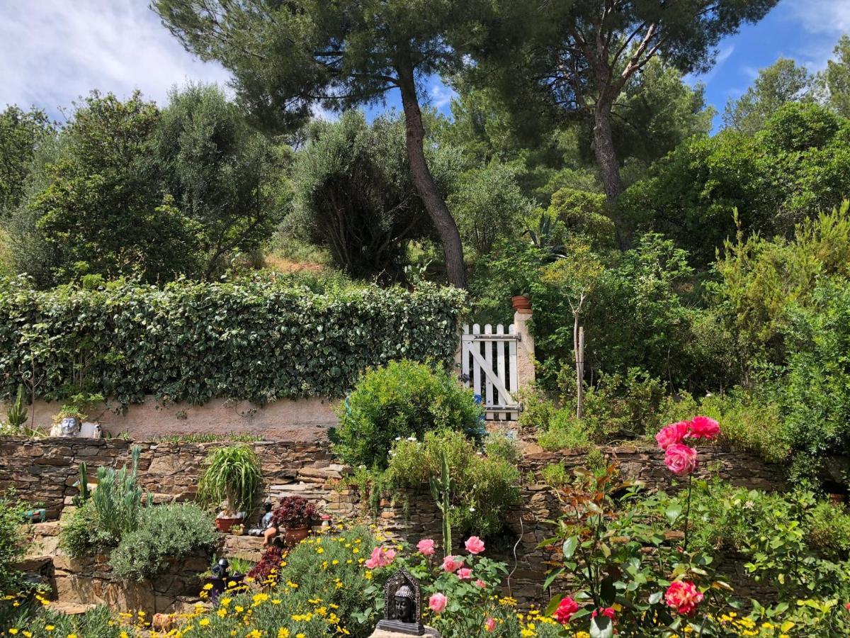 Logement Zen Sur La Colline Aux Mimosas 耶尔 外观 照片