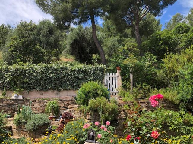 Logement Zen Sur La Colline Aux Mimosas 耶尔 外观 照片